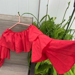 Boohoo Fire hot red long sleeve crop top